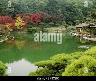 Ritsurin Park im Herbst Stockfoto