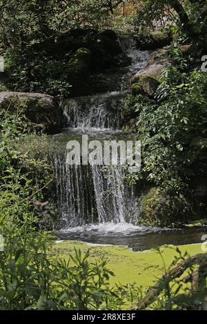 Wasserfälle in der Nähe von Cholet in Frankreich Stockfoto