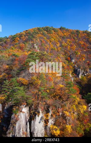 Naruko Schlucht im Herbst Stockfoto