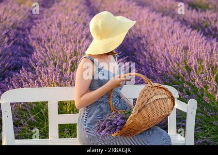 Eine Frau mit Strohhut und Sonnenkleid sitzt auf der Bank, eingebettet in ein lebendiges Lavendelfeld, und hält einen Korb mit Blumen. Stockfoto