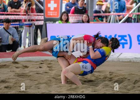 Gangneung, Südkorea - 20. Juni 2023: Ssireum oder koreanischer Ringkampf beim Gangneung Danoje Festival in Südkorea. Stockfoto