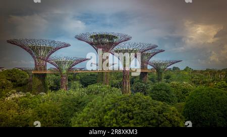 Blick aus der Vogelperspektive auf die Landschaft von Gardens by the Bay in Singapur. Botanischer Garten mit künstlichen Bäumen Stockfoto