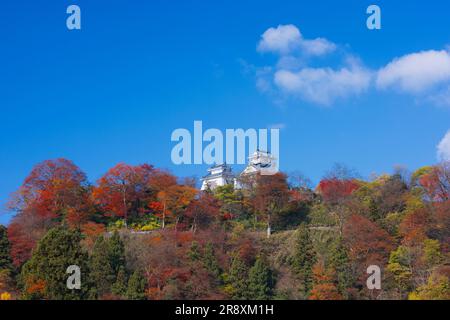 Schloss Echizen Ono im Herbst Stockfoto