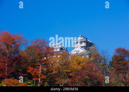 Schloss Echizen Ono im Herbst Stockfoto