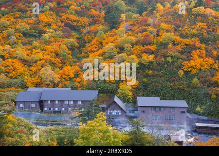 Tamagawa Onsen von Herbstblättern Stockfoto