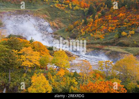 Tamagawa Onsen von Herbstblättern Stockfoto