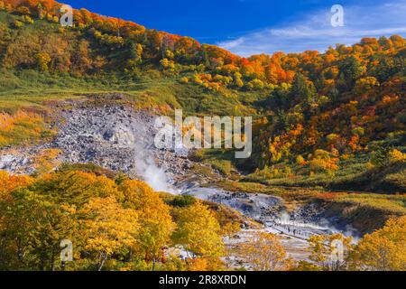 Tamagawa Onsen von Herbstblättern Stockfoto