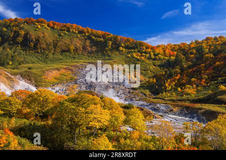 Tamagawa Onsen von Herbstblättern Stockfoto