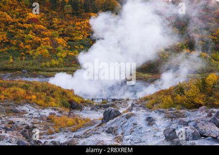 Tamagawa Onsen von Herbstblättern Stockfoto