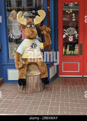 Elchspielzeug in der Shopping Inner Bay Area von Victoria, Victoria Island, British Columbia, Kanada Stockfoto