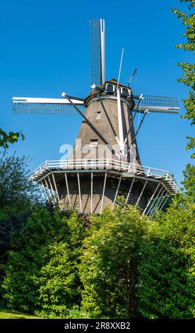 Historische holländische Windmühle De Bloem ab 1768 Uhr in Amsterdam West an einem sonnigen Sommertag Stockfoto