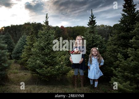 Schwestern lächeln an der weihnachtsbaumfarm mit Ornamenten Stockfoto