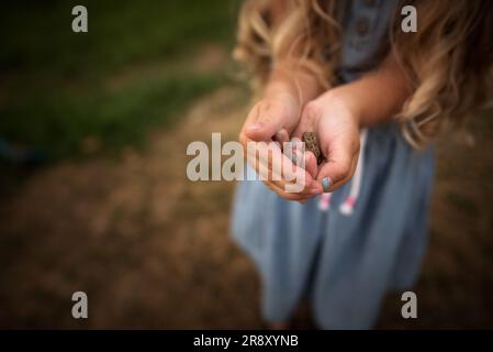 Ein kleines Mädchen hält einen kleinen Frosch in den Händen Stockfoto