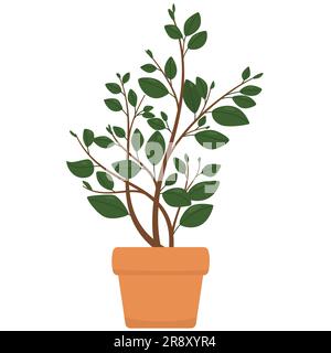 Süße Cartoon-Heimpflanze in Tontopf. Vektordarstellung Ficus Stock Vektor