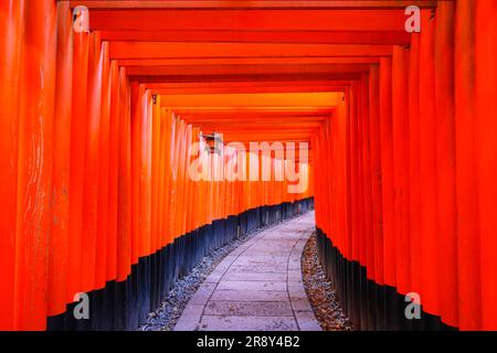 Fushimi Inari-Taisha Stockfoto