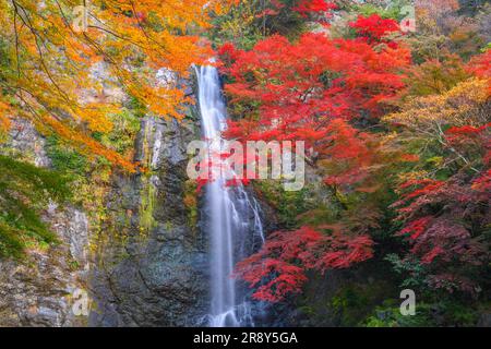 Minoh Great Falls im Herbst Stockfoto
