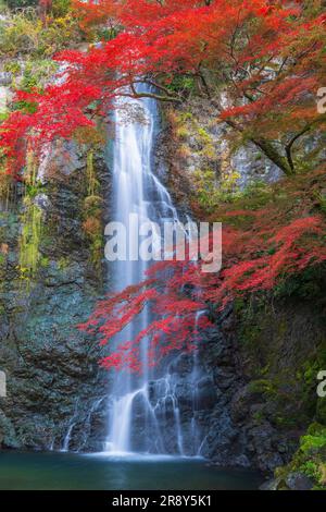 Minoh Great Falls im Herbst Stockfoto