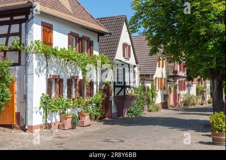 Typische Häuser in der historischen Theresienstraße, Rhodt unter Rietburg, Pfalz, Rheinland-Pfalz, Deutschland, Europa Stockfoto