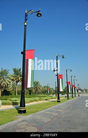 Lichtmast, Flagge von Dubai, Zaabel-Palast, Zabeel-Palast, Dubai, VAE, Vereinigte Arabische Emirate, Naher Osten Stockfoto