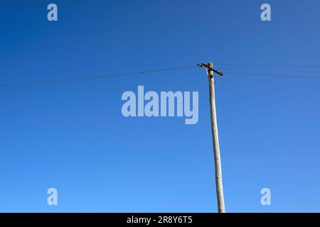 Stromleitung und Holzstange vor einem blauen Himmel Stockfoto