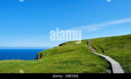 Walker auf Handa Island Stockfoto