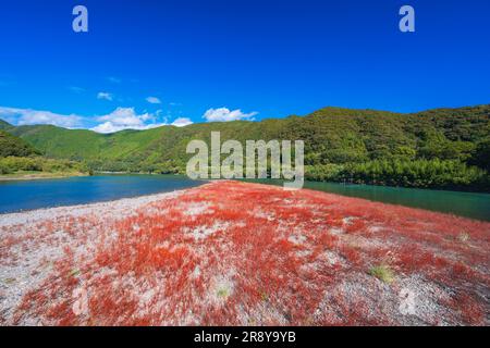 Shimanto River im Herbst Stockfoto