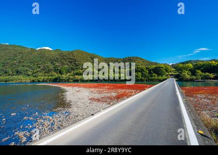 Shimanto River und Sada Chinkabashi Bridge im Herbst Stockfoto