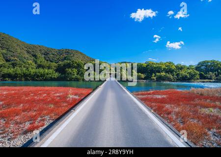 Shimanto River und Sada Chinkabashi Bridge im Herbst Stockfoto