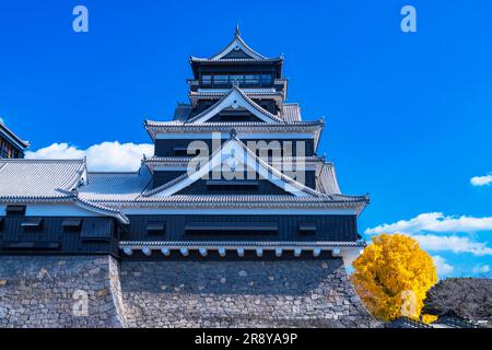 Schloss Kumamoto im Herbst Stockfoto