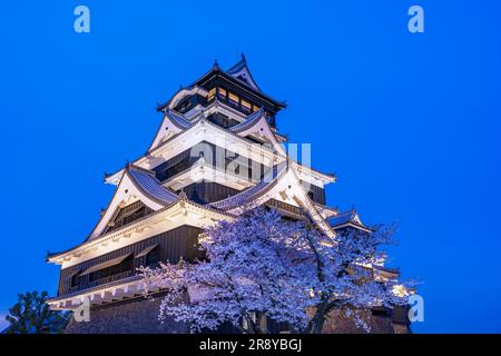 Schloss Kumamoto und Kirschblüten Stockfoto