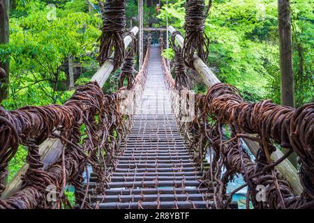 Kazurabashi-Brücke von Iya Stockfoto