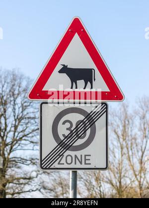 Ein dreieckiges rotes weißes Warnschild. Kühe und andere Haustiere können die Straße überqueren. Ein weiteres Schild beendet das Schild mit der Geschwindigkeitsbegrenzung. Stockfoto