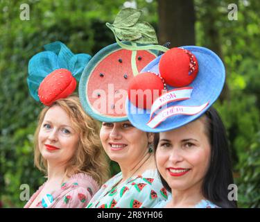 Ascot, Berkshire, Großbritannien. 23. Juni 2023. Rennfahrer am 4. Tag des Royal Ascot auf der Ascot Rennbahn. Kredit: Imageplotter/Alamy Live News Stockfoto