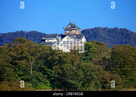 Schloss Echizen Ono Stockfoto