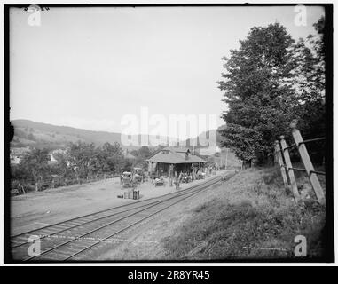 Bahnhof Ulster und Delaware, Fleischmann's, Catskill Mountains, N.Y., (1902?). Stockfoto