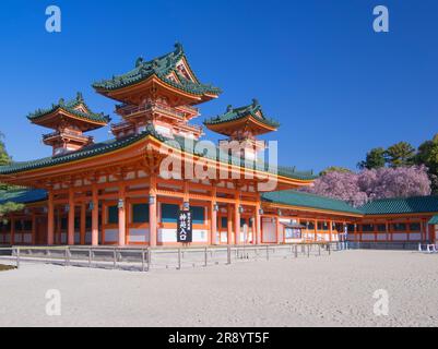 Weinende Kirschbäume im Heian Jingu-Schrein Stockfoto