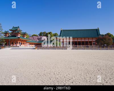 Weinende Kirschbäume im Heian Jingu-Schrein Stockfoto