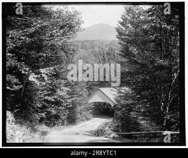 Auf dem Weg zur Flume, Franconia Notch, White Mountains, c1900. Stockfoto