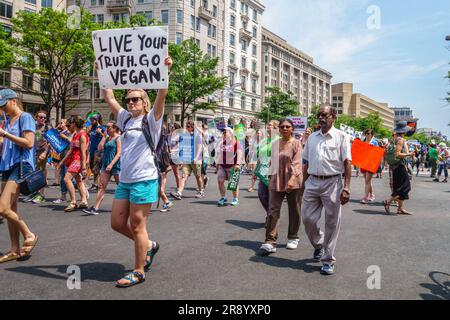 WASHINGTON, DC, USA - 29. APRIL 2017. Protestteilnehmer mit einem Schild mit der Aufschrift „Go Vegan“ in der Menge beim klimamarsch in Washington DC. Stockfoto