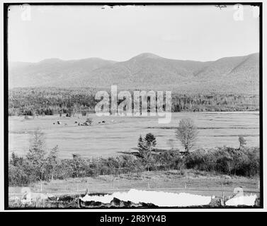 Presidential Range und Crawford Notch von Golf Links, White Mountains, N.H., zwischen 1890 und 1901. Stockfoto