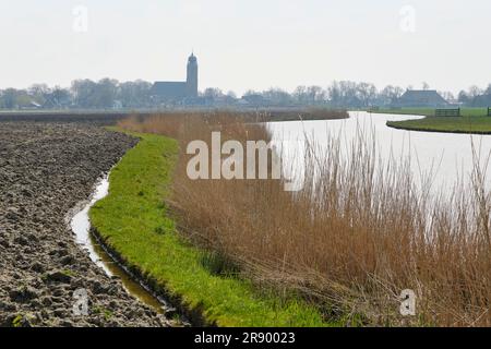 Blick auf Deinum in Friesland, Niederlande und Kirchturm des Sint Janskerk aus dem 13. Jahrhundert mit seiner typischen Zwiebelform im frühen Frühjahr. Stockfoto