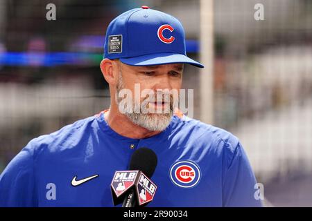 An einem Workout-Tag vor dem MLB London Series Match im London Stadium, London. Foto: Freitag, 23. Juni 2023. Stockfoto