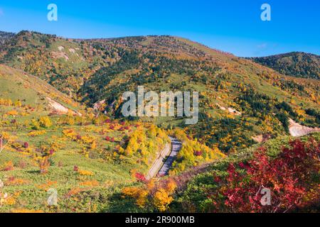 Hachimantai Aspite Line in Herbstblättern Stockfoto