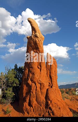 Metate Arch, Devils Garden, Grand Staircase Escalante National Monument in Utah Stockfoto