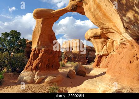 Metate Arch, Devils Garden, Grand Staircase Escalante National Monument in Utah Stockfoto