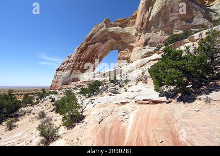 White Mesa Arch, Navajo Reservation, in der Nähe von Tuba City, Arizona, USA Stockfoto