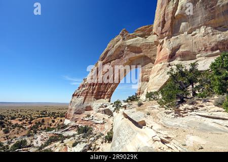 White Mesa Arch, Navajo Reservation, in der Nähe von Tuba City, Arizona, USA Stockfoto