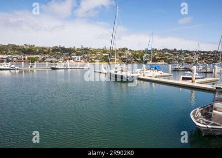 Hafen von San Diego und Bootsanlegestelle im Shelter Island Shoreline Park. San Diego, Kalifornien, USA. Stockfoto