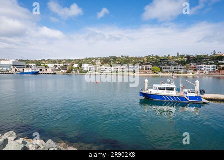 Hafen von San Diego und Bootsanlegestelle im Shelter Island Shoreline Park. San Diego, Kalifornien, USA. Stockfoto