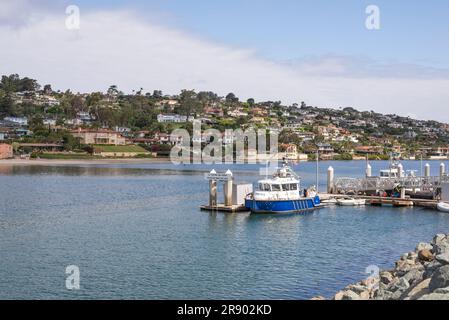 Hafen von San Diego und Bootsanlegestelle im Shelter Island Shoreline Park. San Diego, Kalifornien, USA. Stockfoto